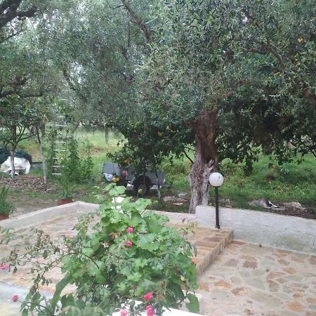 Billy'S Amoudi Apartments Bagian luar foto