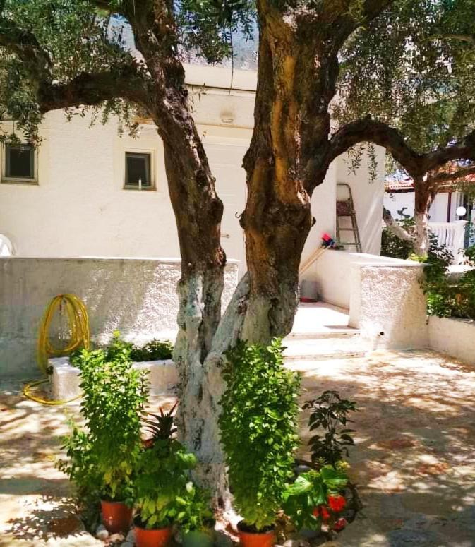 Billy'S Amoudi Apartments Bagian luar foto